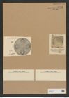 Aulacodiscus inflatus Grev. (de-Toni-Nr.: Genus 182, Species 4537) Zeichnungen Sammlung Grunow Nr. 8135 (NHMW-BOT-W0377489)